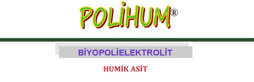 POLİHUM Logo